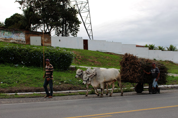 byJFParanaguá